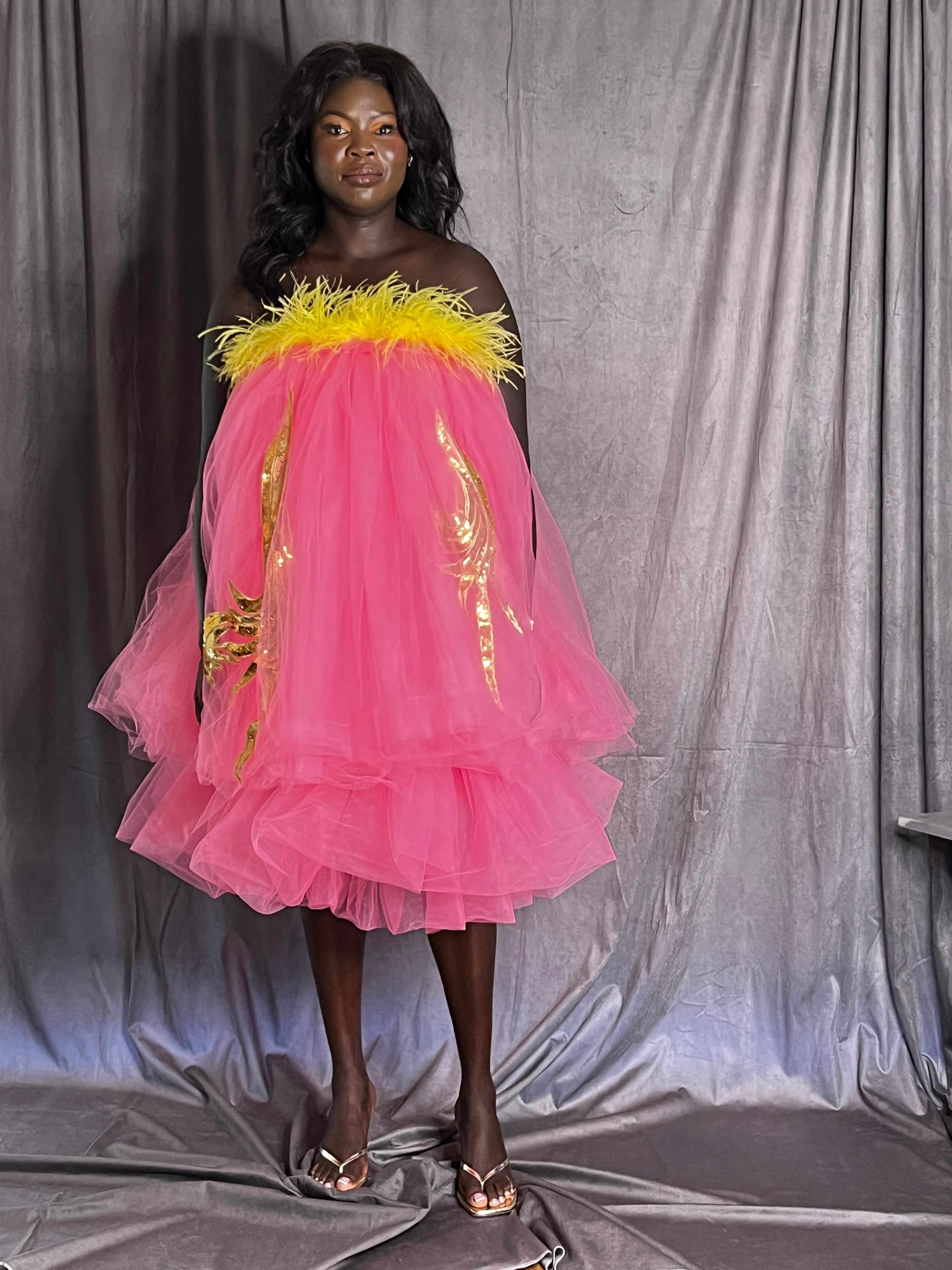 Feathers and Frou Frou Dress