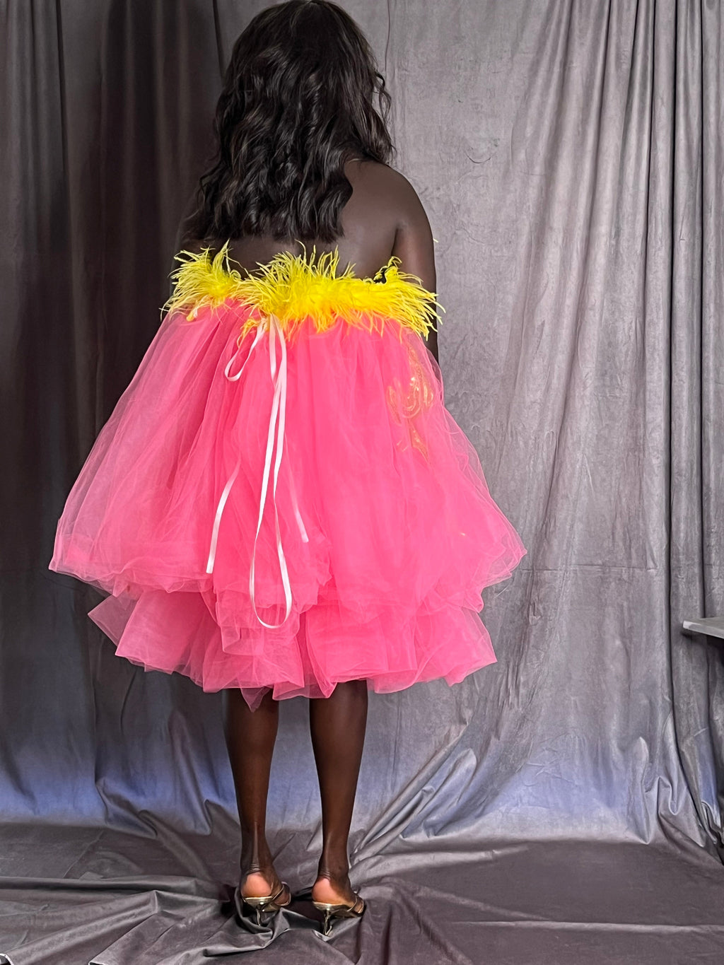 Feathers and Frou Frou Dress