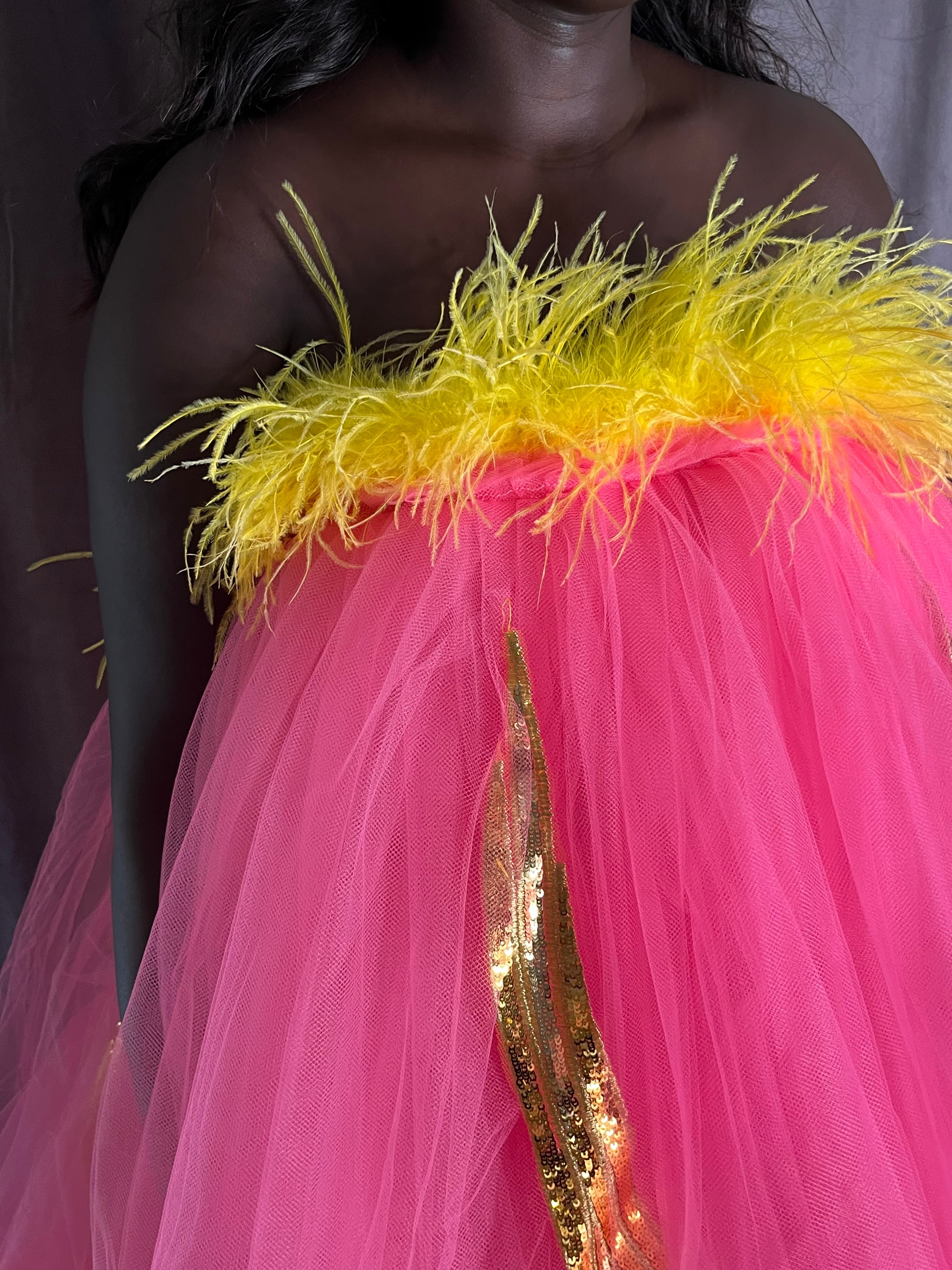 Feathers and Frou Frou Dress