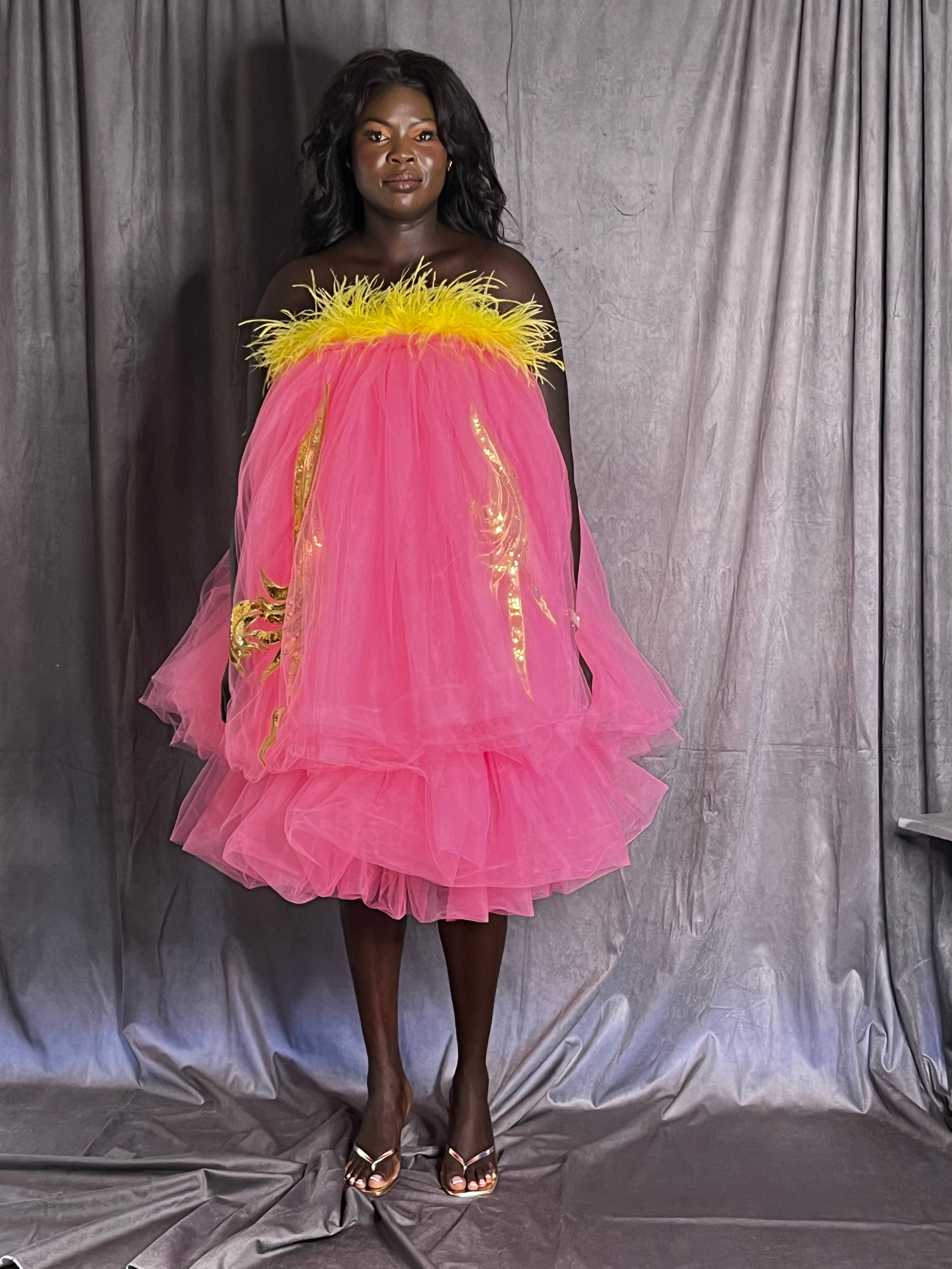 Feathers and Frou Frou Dress