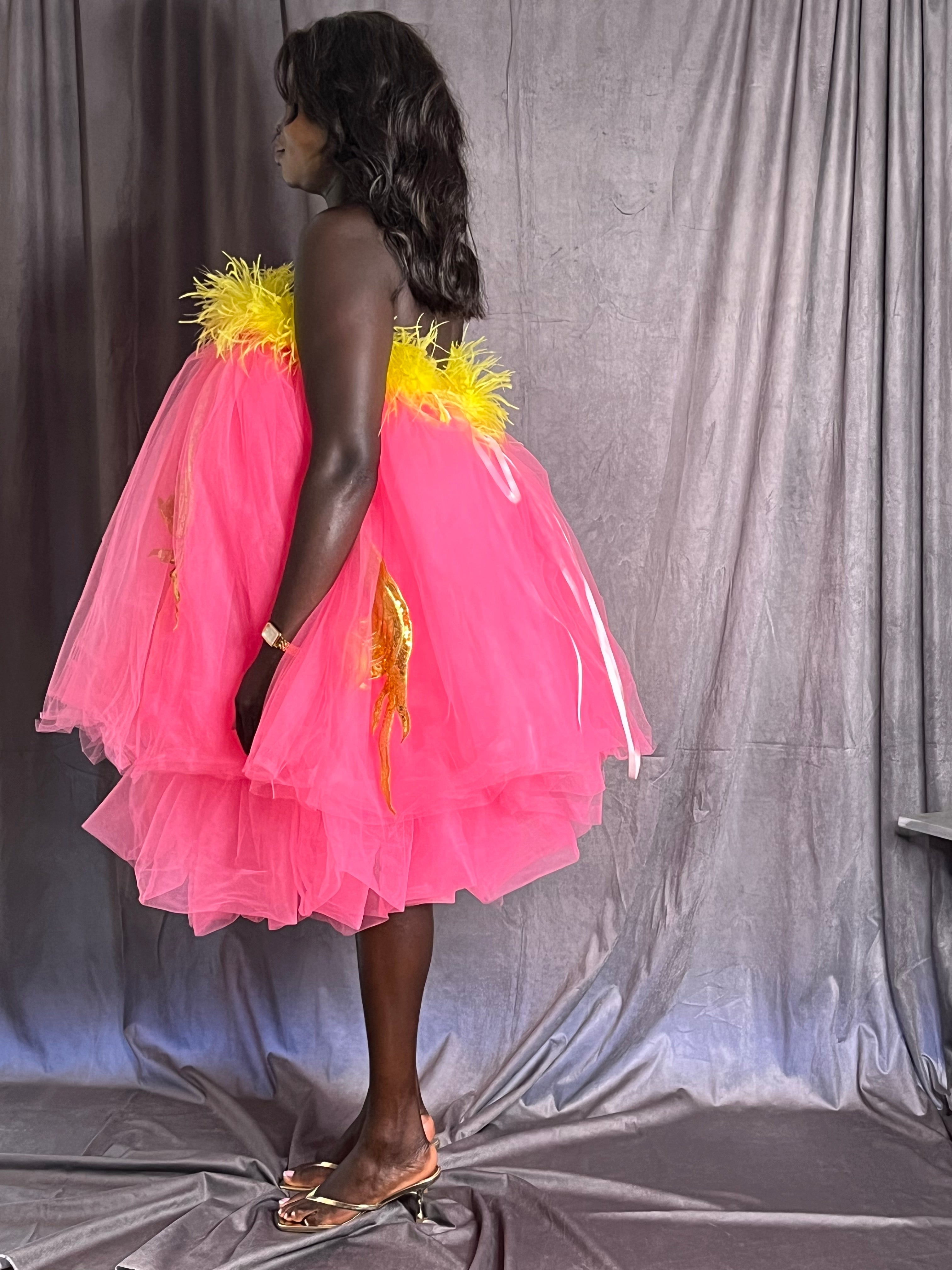 Feathers and Frou Frou Dress